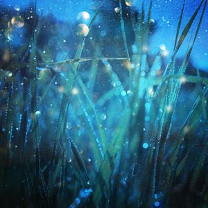 丰满少妇成人kTV
