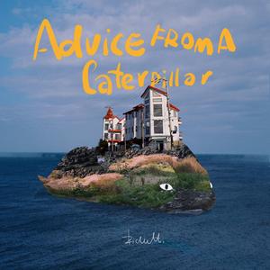 丰满少妇成人kTV
