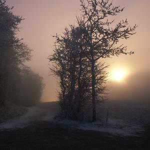 丰满少妇成人kTV
