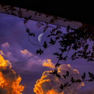 丰满少妇成人kTV
