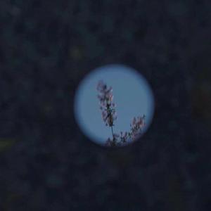 丰满少妇成人kTV
